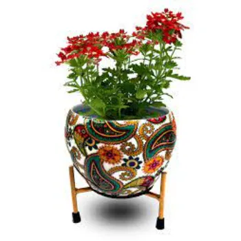 Red Decorative Plants